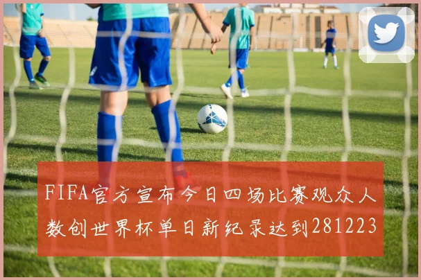 FIFA官方宣布今日四场比赛观众人数创世界杯单日新纪录达到281223人