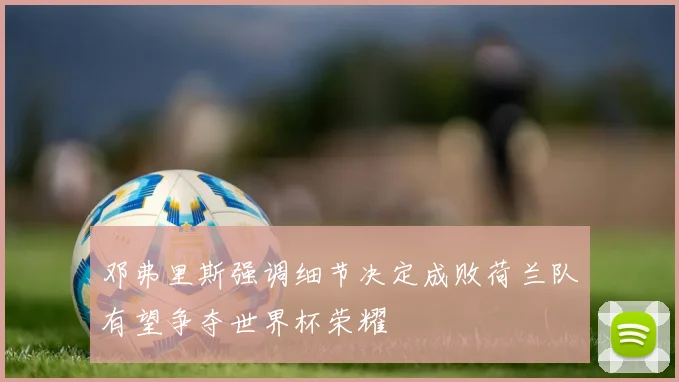 邓弗里斯强调细节决定成败荷兰队有望争夺世界杯荣耀